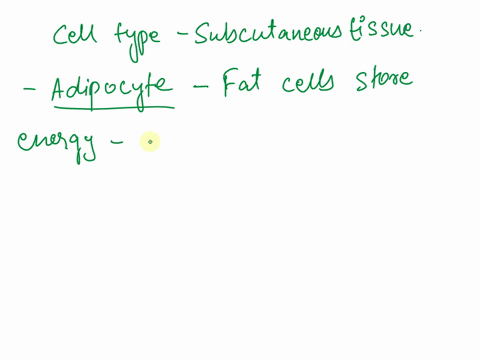 what-is-the-main-cell-type-of-subcutaneous-tissue-group-of-answer-choices-adipocyte-basal-cell-keratinocyte-macrophage-59974