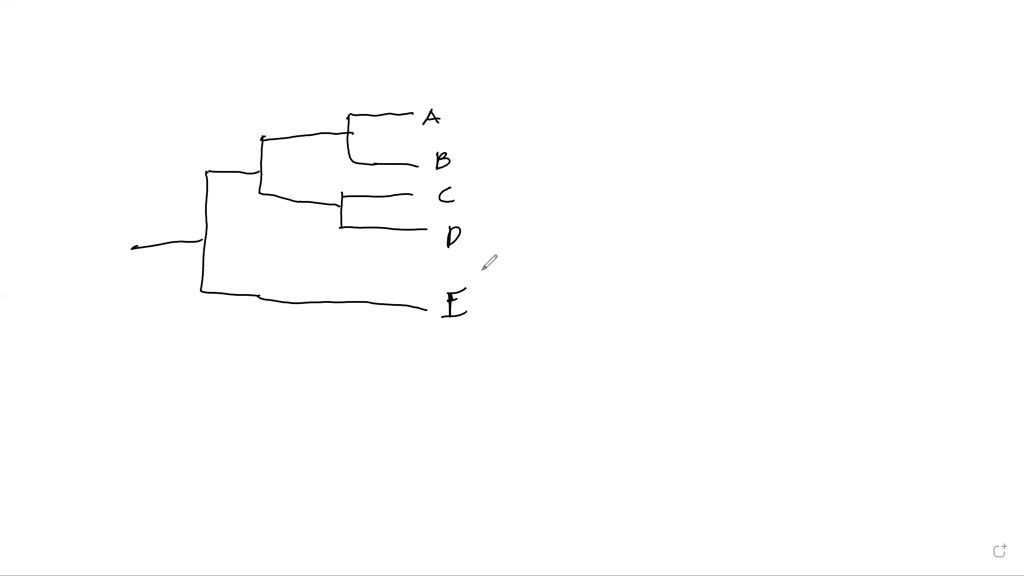 Solved Describe The Basic Structure And Functions Of Whs Management Systems Whsms