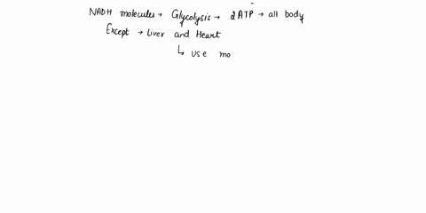 explain-why-nadh-molecules-from-glycolysis-only-produce-2-atp-in-all-body-cells-except-the-liver-and-heart-cells-42863