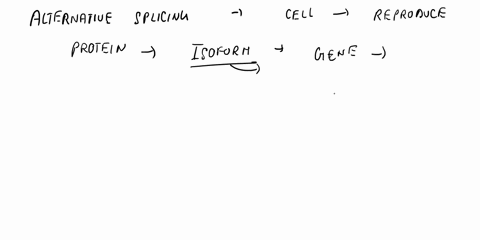 in-eukaryotes-how-can-a-single-gene-code-for-several-different-proteins-multiple-choice-a-by-translating-different-segments-of-a-single-mrna-molecule-ribosomes-can-produce-different-proteins-15016