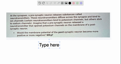 at-the-synapses-pre-synaptic-neuron-releases-substances-called-neurotransmitters-these-neurotransmitters-diffuse-across-the-synapse-and-bind-to-ion-channels-certain-neurotransmitters-bind-to-37084