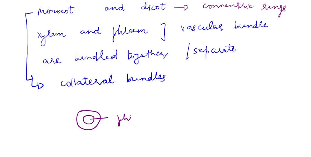 SOLVED You are asked to determine if a tissue sample taken from a