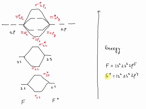 draw-molecular-orbital-for-f2-is-it-diamagnetic-or-paramagnetic-whats-is-the-bond-order-show-complete-work-27977