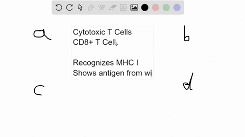 a-cytotoxic-t-cell-could-attack-all-of-the-following-except-a-transplants-of-foreign-tissue-b-cells-02033