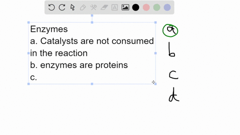 which-of-the-following-is-not-true-about-enzymes-a-they-are-consumed-by-the-reactions-they-catalyze-88399