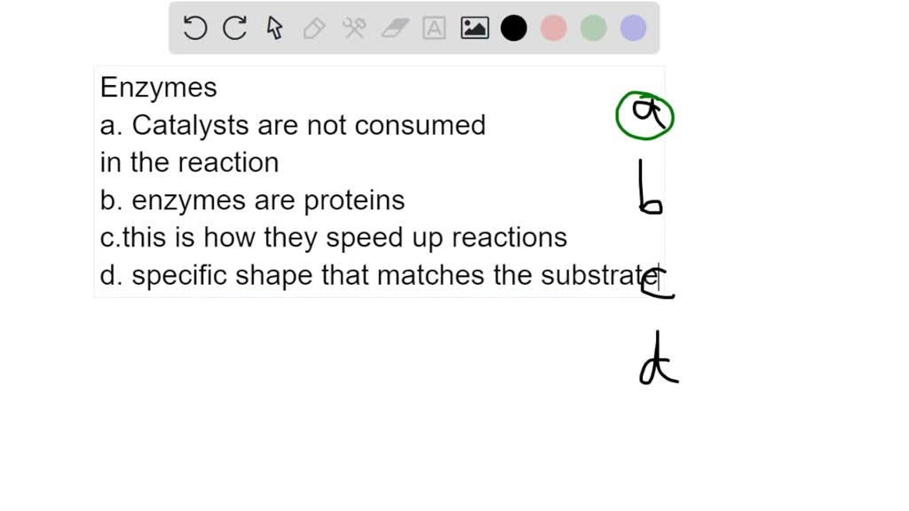 SOLVED: Which of the following is not true about enzymes? a. They are