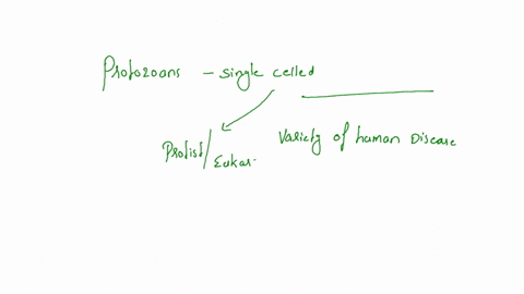 protozoans-are-single-celled-___-that-can-cause-a-variety-of-human-diseases-select-all-that-apply-animals-bacteria-protists-fungi-prokaryotes-eukaryotes-plants-85469