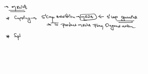explain-the-three-things-that-occur-during-mrna-processing-in-eukaryotes-including-what-happens-and-its-purposereason-49727