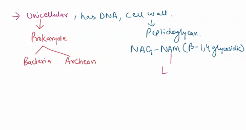 you-discover-new-organism-which-is-unicellular-has-dna-and-cell-wall-including-peptidoglycan-using-microscopy-you-also-see-that-this-organism-has-flagellum_-capsule-and-fimbria_-8-points-wha-32306