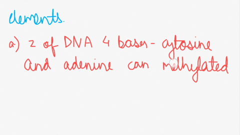 5-direct-methylation-of-dna-as-opposed-to-histone-methylation-which-is-something-else-is-an-important-mechanism-of-eukaryotic-gene-regulation-dna-methylation-primarily-occurs-at-specific-bas-76408