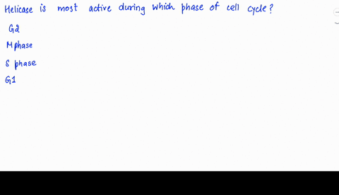 helicase-is-most-active-during-which-phase-of-the-cell-cycle-a-g2-b-m-phase-c-s-phase-d-g1-39662