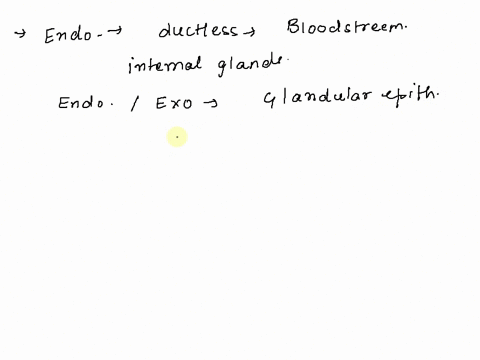epithelial-cells-that-produce-and-secrete-a-product-into-a-duct-form-aan-a-endocrine-gland-b-exocr-2-42602