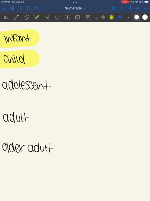 match-the-typical-characteristics-of-focus-with-the-appropriate-age-group-infant-child-adolescent-adult-older-adult-a-present-focus-b-present-to-future-c-future-focus-14168
