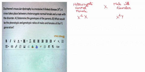 duchennes-muscular-dystrophy-is-a-recessive-x-linked-disease-xd-a-cross-takes-place-between-a-heterozygote-normal-female-and-a-male-with-the-disorder-a-determine-the-genotypes-of-the-parents-04818