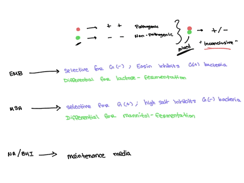 please-answer-question-1-5-1-what-is-the-purpose-of-bacterial-isolation-2-why-is-it-necessary-for-medical-diagnosis3-please-describe-two-selective-media-plates-how-do-they-work-and-what-info-75655