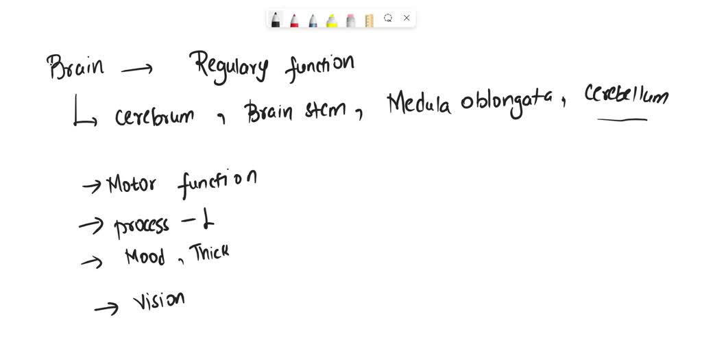 solved-what-are-the-responsibilities-of-the-region-of-the-brain