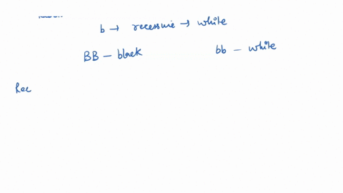 in-rabbits-if-b-is-the-dominant-black-allele-and-b-is-the-recessive-white-allele-which-of-these-genotypes-bb-bb-bb-could-represent-white-rabbit-why-67523