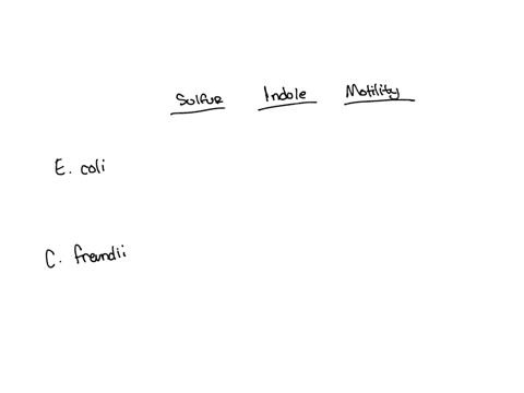 you-streaked-an-emb-plate-with-an-unknown-bacterium-and-saw-a-green-metallic-sheen-since-both-ecoli-and-citrobacter-freundii-provide-this-result-how-would-the-sim-test-help-you-confirm-which-96585