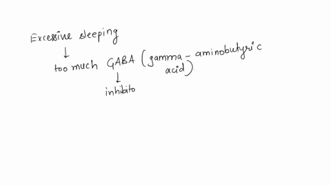 excessive-sleeping-is-most-likely-due-to-the-presence-of-too-much-of-which-neurotransmitter-oaserotonin-obnorepinephrine-ocdopamine-odgaba-92212