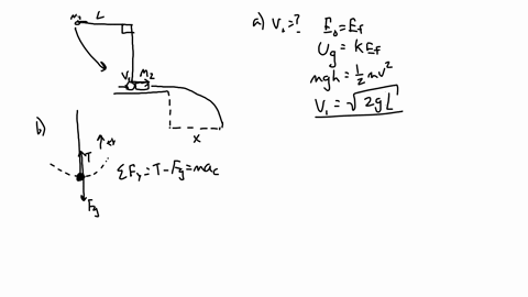 iw-a-pendulum-of-length-and-bob-with-mass-mi-is-released-from-rest-at-an-angle-90-from-the-vertical-when-the-pendulum-reaches-the-vertical-position-the-bob-strikes-an-object-of-mass-mz-that-60755