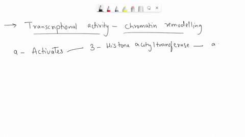 modifications-to-chromatin-can-affect-transcriptional-activity-by-changing-the-accessibility-of-dna-to-the-transcription-machinery-the-given-descriptions-are-examples-of-various-processes-th-25663