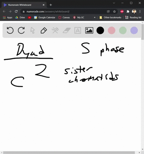 1-a-cell-in-metaphase-of-the-cell-cycle-always-contains-chromosomes-in-the-______-form-choose-all-terms-that-apply-replicated-unreplicated-dyad-monad-2-in-a-cell-in-g1-of-the-cell-cycle-the-86495
