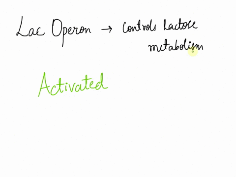 if-glucose-is-absent-but-lactose-is-available-the-lac-operon-will-be-_______-16675
