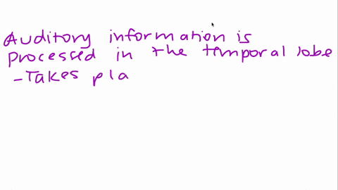 auditory-information-is-processed-in-the-_______-lobe-97764