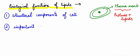 1_-what-are-the-biological-functions-of-lipids-2-what-are-the-three-most-important-types-of-lipids-found-in-cells-82628