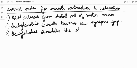 19put-the-following-muscle-contraction-and-relaxation-steps-in-order-acetylcholine-travels-across-the-synaptic-gap-ach-released-from-distal-end-of-motor-neuron-actin-and-myosin-form-linkages-81114