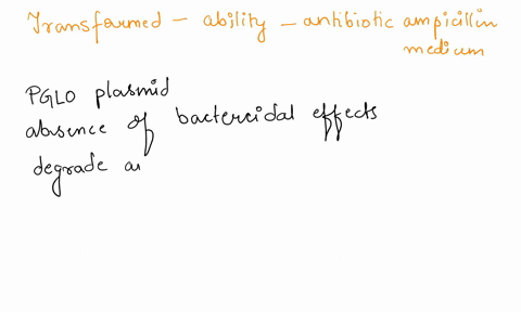 pglo-bacterial-transformation-lab-assignment-if-the-genetically-transformed-cells-have-acquired-the-ability-to-live-in-the-presence-of-the-antibiotic-ampicillin-then-what-might-be-inferred-a-99837