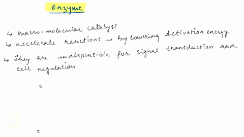 explain-how-enzymes-are-used-in-the-cell-and-what-influences-the-turnover-rate-of-the-enzyme-11176