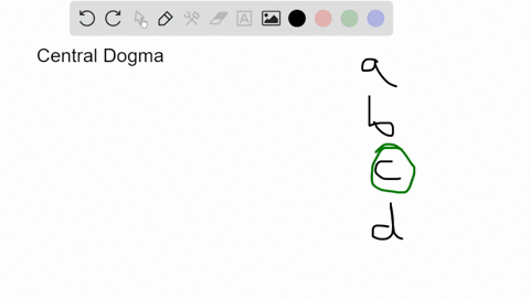 which-of-the-following-correctly-states-the-central-dogma-of-molecular-biology-all-living-organisms-originate-from-pre-existing-organisms-transmission-of-genetic-information-flows-vertically-59091