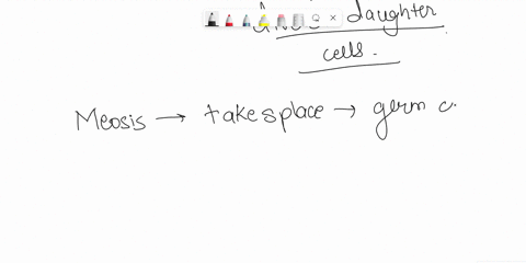 what-are-the-major-results-of-meiosis-34431