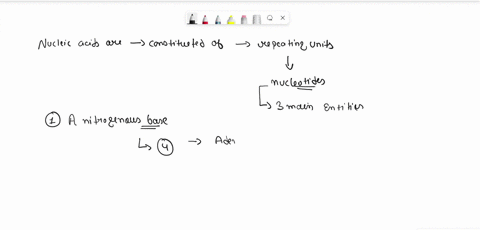 of-what-units-are-nucleic-acids-constituted-what-are-the-chemical-entities-that-compose-that-unit-18784