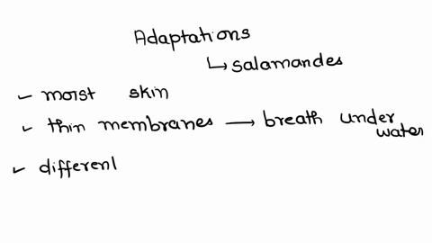 identify-two-adaptations-specific-features-of-structure-function-or-behavior-that-allow-the-salamander-as-opposed-to-the-bunny-to-thrive-in-the-stream-without-any-specialized-respiratory-org-87143