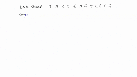 what-would-be-the-mrna-strand-if-the-dna-strand-reads-t-a-c-c-g-a-g-t-c-a-c-g-84215