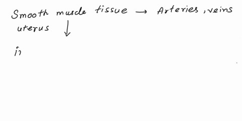 smooth-muscles-occur-in-a-artery-b-uterus-c-vein-d-all-of-the-above-10048