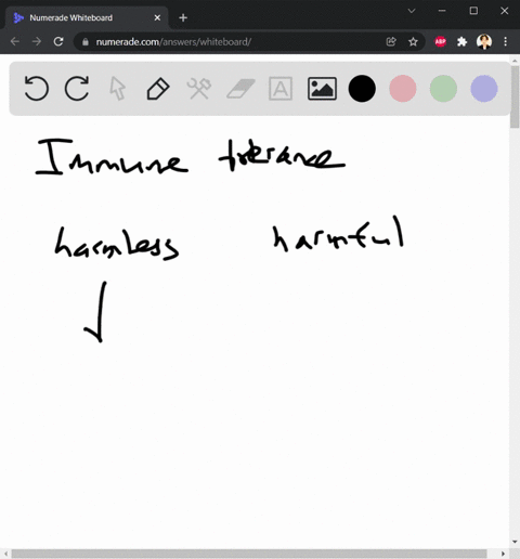 the-acquired-ability-to-prevent-an-unnecessary-or-destructive-immune-reaction-to-a-harmless-foreign-51315