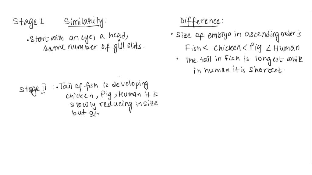 SOLVED: Type the similarities and differences for stage here Type the ...