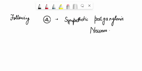 which-of-the-following-statements-about-the-organization-of-the-autonomic-nervous-system-are-true-there-many-be-more-than-one-correct-answer-select-ankand-all-correct-answers-for-full-credit-14745