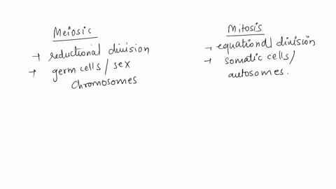 how-is-meiosis-different-the-mitosis-ameiosis-results-in-four-gametes-bmeiosis-results-in-two-genetically-identical-offspring-cells-cduring-meiosis-the-nucleus-only-divides-once-dat-the-end-41327