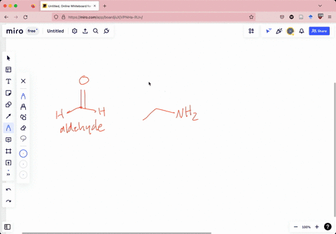 identify-the-functional-group-each-structure-carbonyl-group-inesler-amide-carbonyl-group-in-kolone-carboryl-group-amino-group-nydroxyi-group-alkeno-carbonyl-group-in-aldehyde-chch-nhz-hsc-nh-35691