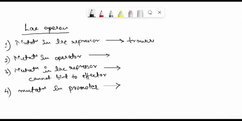 what-happens-to-the-expresslon-of-genes-in-the-lac-operon-under-the-following-conditions-mutation-in-lac-repressor-that-knocks-out-the-dna-binding-function-mutation-in-the-operator-region-of-26344