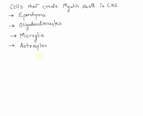which-are-the-types-of-glial-cells-that-provide-myelin-sheath-in-the-central-nervous-system-ependyma-oligodendrocytes-microglia-astrocytes-30225