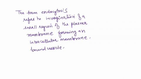 large-particles-or-large-volumes-of-fluid-can-be-brought-into-the-cell-by-a-facilitated-diffusion-2-63927
