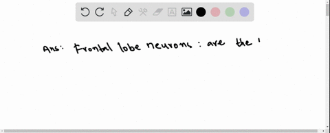 some-scientists-believe-that-the-brain-has-______-neurons-that-enable-observation-and-imitation-52913