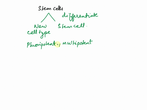 what-is-a-stem-cell-how-are-embryonic-stem-cells-diff-erent-from-other-types-of-stem-cells-given-their-function-how-do-you-think-embryonic-stem-cells-are-used-as-a-treatment-for-damaged-cell-50823