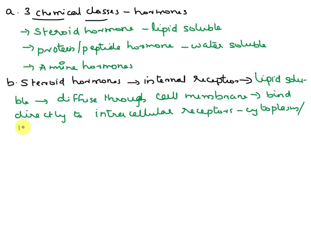Artbased Question The Endocrine System Question Part A What is the