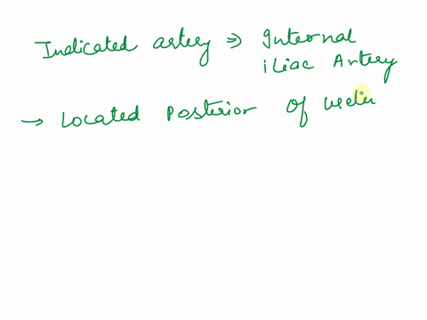 4pts-identify-the-artery-aboveindicated-by-the-arrow-and-name-one-region-of-the-body-thisvessel-supplies-b-58866